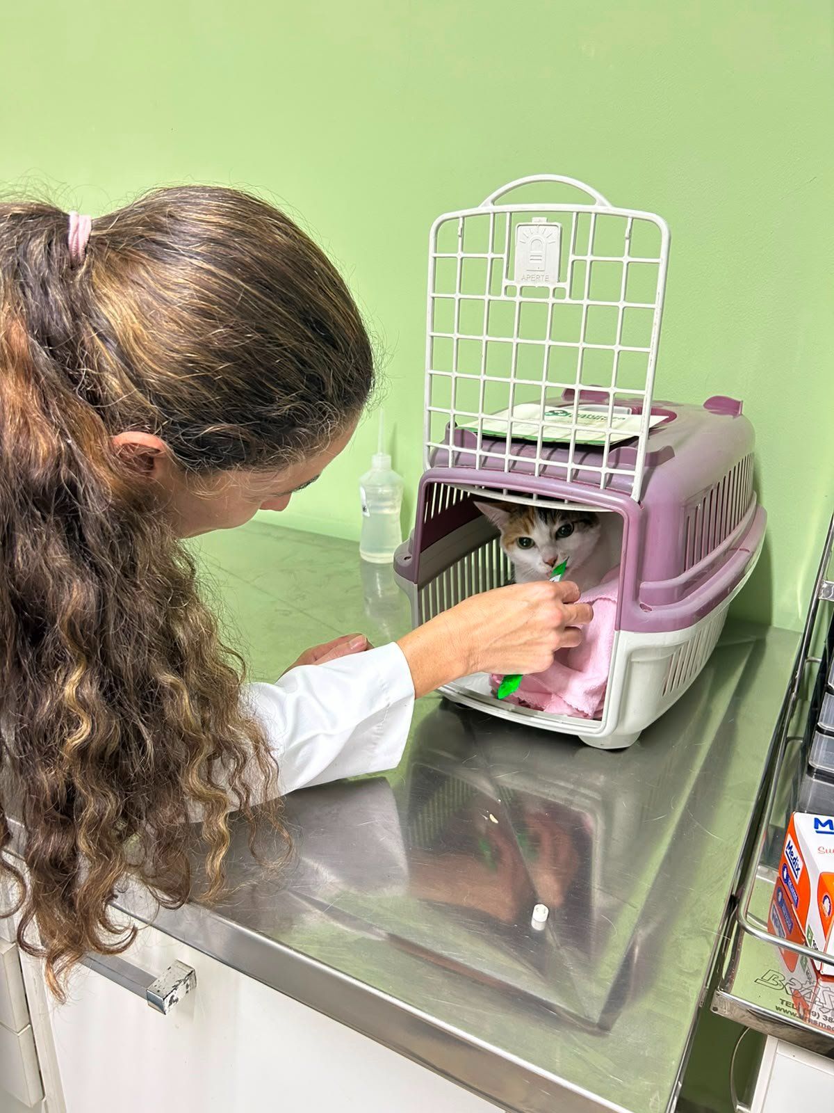 Consulta Veterinária